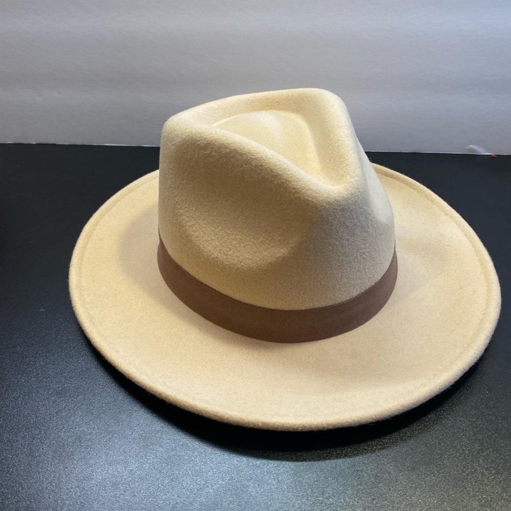 Crazy Train wool fedora